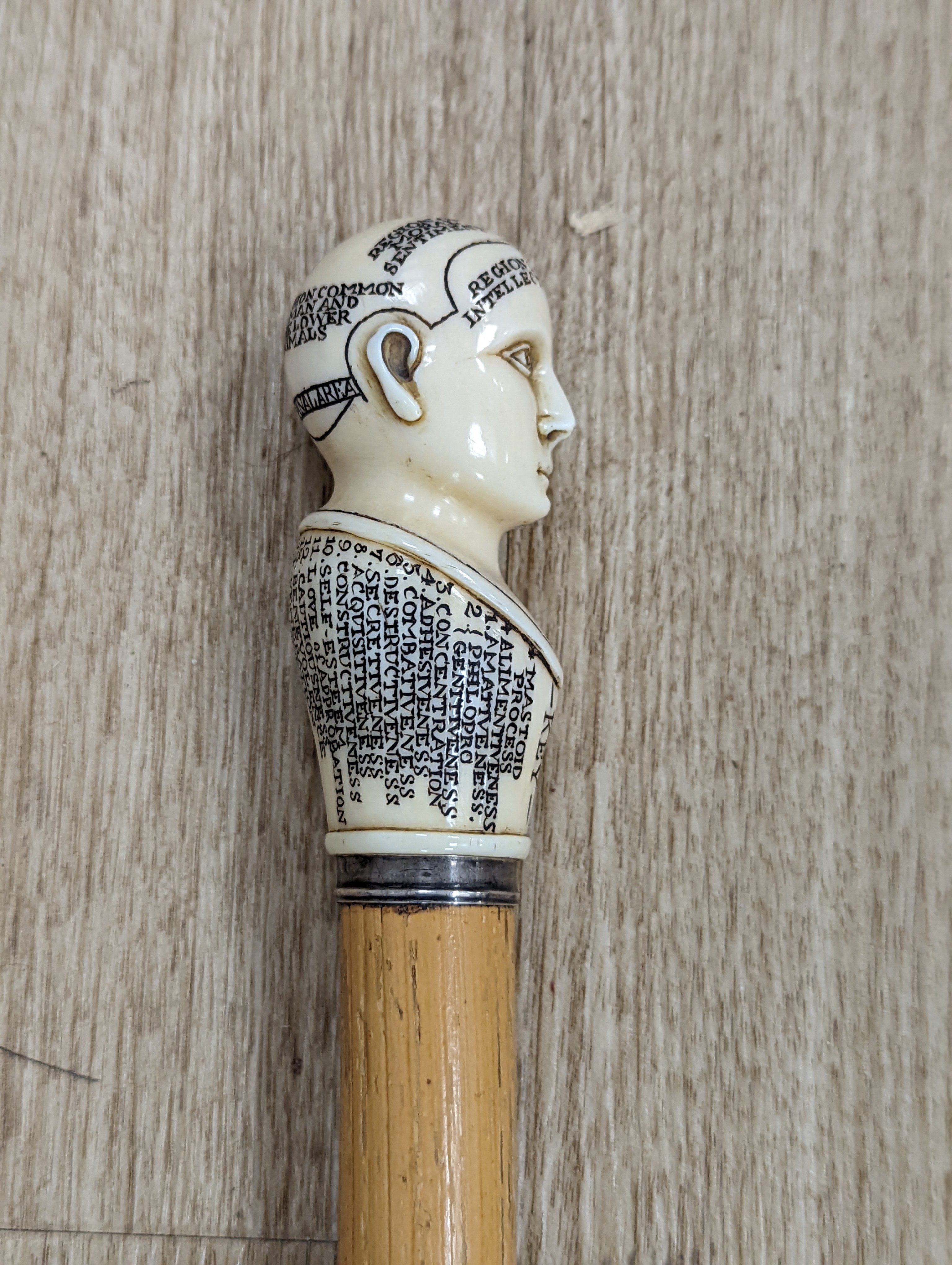 A fine 19th century sword stick, gilt etched blade, brass tip, silver mounted handle with carved and inscribed ivory phrenology head pommel, overall 96cms, blade 68cms